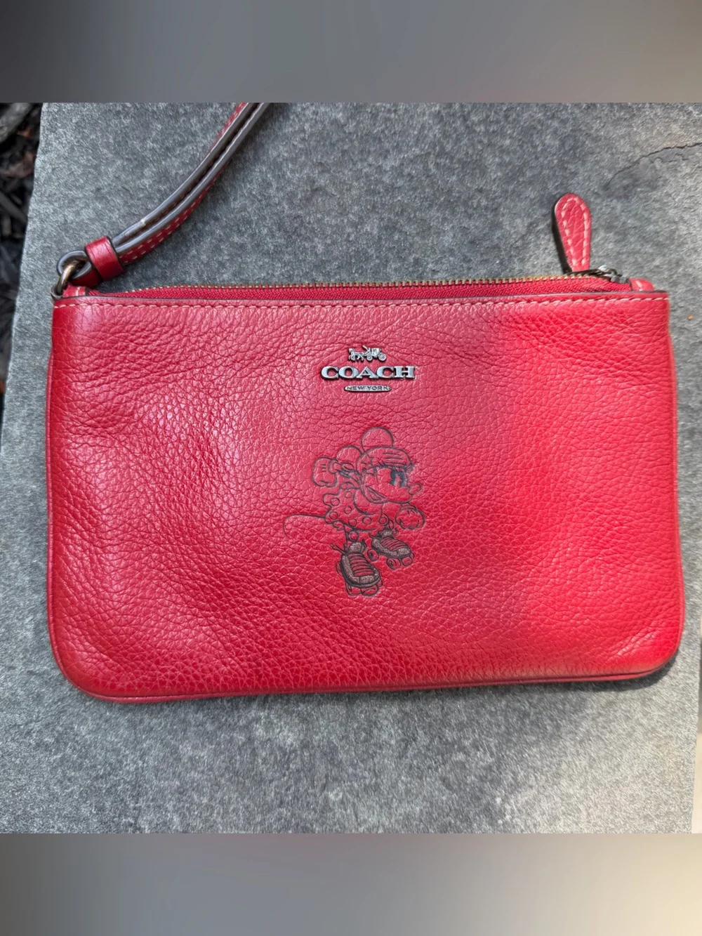 Gorgeous RARE EUC Coach Minnie Mouse zipper bag